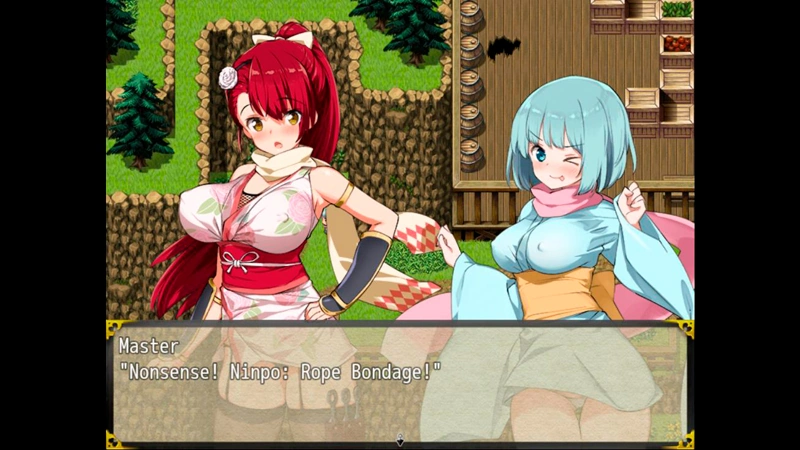 Kunoichi Tsubaki 6