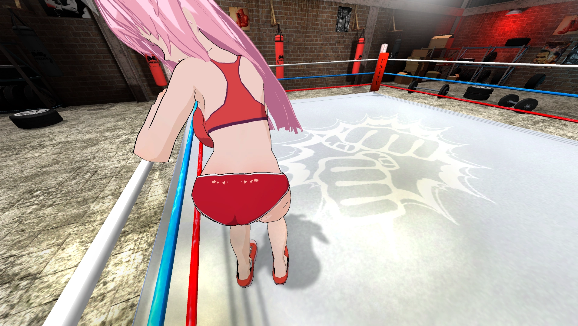 Hentai Fighters VR 2
